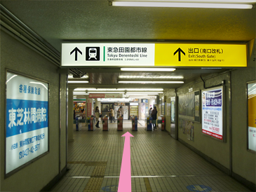 Go to the south gate