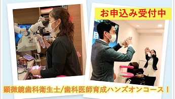 歯科セミナーの注目情報